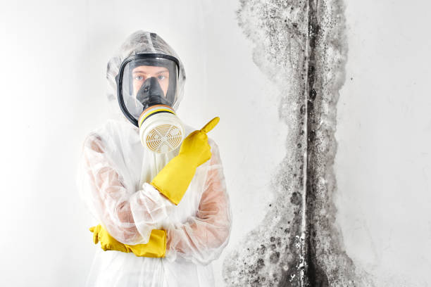  Prudhoe Bay, AK Mold Removal & Remediation Pros